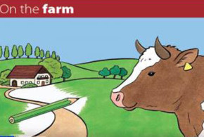Brochure de coloriage On The farm