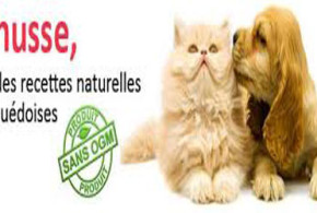 échantillon de croquettes pour chiens et chats - Husse