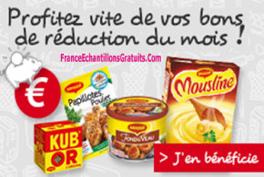 Bons de réduction Maggi