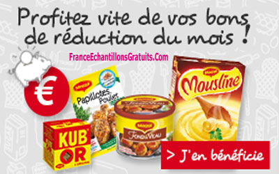 Bons de réduction Maggi