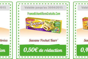 Bons de réduction Savane - Brossard