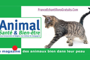 Magazine Animal Santé et Bien être