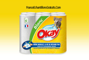 Test de produit : Essuie-tout Okay de Trnd