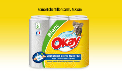 Test de produit : Essuie-tout Okay de Trnd