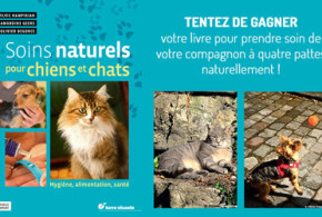 Gagnez des livres "Soins naturels pour chiens et chats"