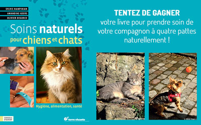 Gagnez des livres "Soins naturels pour chiens et chats"