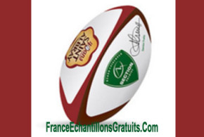 Un mini ballon de rugby offert