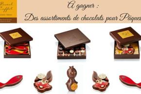 Assortiments de chocolat à gagner