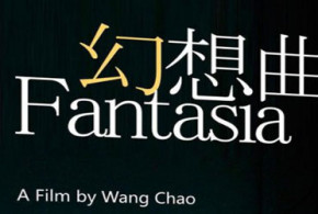 DVD du film "Fantasia" à gagner