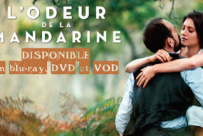 DVD du film "L'odeur de la mandarine" à gagner