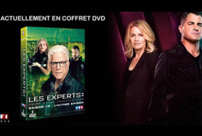 Coffret DVD de la série "Les experts - saison 15"