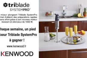 Gagnez un pied mixeur triblade SYSTEMPRO Kenwood