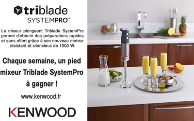 Gagnez un pied mixeur triblade SYSTEMPRO Kenwood