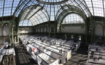 Invitations pour la salon "Art Paris Art Fair 2016"