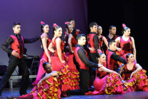 Invitations pour le spectacle "Flamenco de Vino y Rosas"