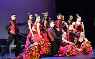 Invitations pour le spectacle "Flamenco de Vino y Rosas"