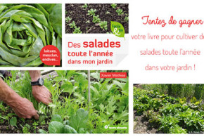 Livres "des salades toute l'année dans mon jardin"