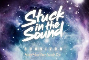 Albums CD "Survivor" de Stuck In The Sound