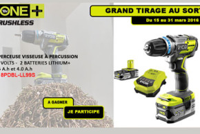 Perceuse Visseuse Ryobi