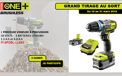 Perceuse Visseuse Ryobi