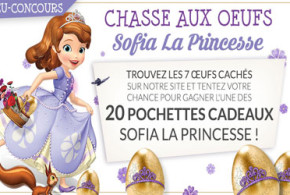 Pochettes cadeaux "Sofia la princesse"