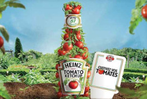 Sachets de graines de tomates