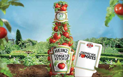 Sachets de graines de tomates