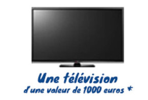 Téléviseur d'une valeur 1000 euros