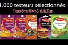 Test de produit epices Ducros