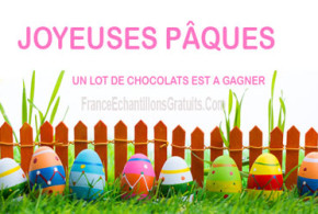 Lot de chocolats de Pâques