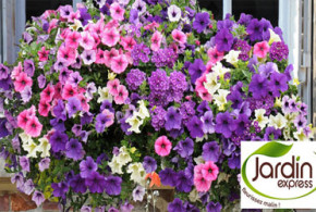 kits de fleurs "Charline"