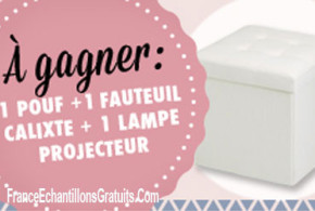 lampe + 1 pouf +1 fauteuil à gagner