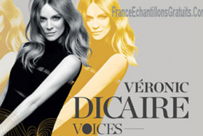 Invitations pour le spectacle de Veronic Dicaire