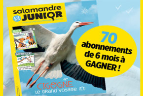 Abonnements de 6 mois au magazine "La Salamandre Junior"