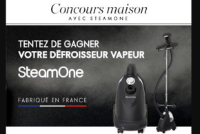 Défroisseurs vapeur H10S SteamOne