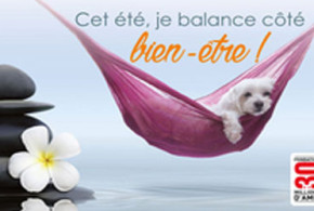 Echantillon gratuit, Kit vacances pas bêtes 2016