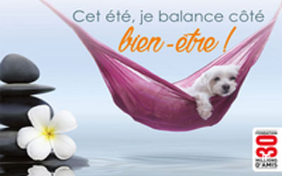 Echantillon gratuit, Kit vacances pas bêtes 2016