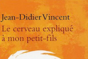 Livres "Le cerveau expliqué à mon petit-fils" de Jean-Didier Vincent