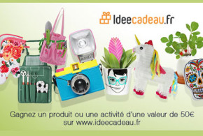 Lot de votre choix dans la boutique IdeeCadeau