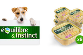 Test de produit, Patée pour chien adulte volaille