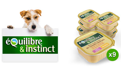 Test de produit, Patée pour chien adulte volaille