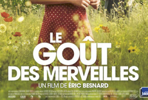 DVD du film "Le goût des merveilles"