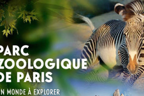 Invitations pour le parc zoologique