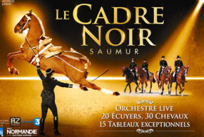 Invitations pour le spectacle hippique du cadre noir