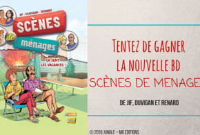 Albums BD "Livre Scènes de ménages"