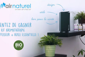 Diffuseurs d'huiles essentielles rouges Air Naturel