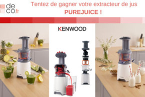 Extracteur de jus Kenwood