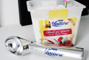 Kit de glaces La Laitière