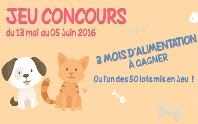 Lots d'accessoires chien ou chat