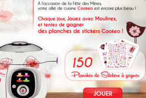 Planches de stickers pour décorer un appareil Cookeo